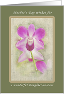 Mother’s Day Wishes for a Daughter-in-Law, Wild purple Orchids card