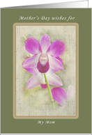 Mother’s Day Wishes for my Mom, Wild purple Orchids card
