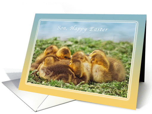 Happy Easter Wishes for a Son, Baby Geese card (1017159)