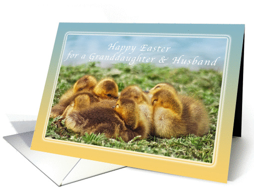 Happy Easter Wishes for a Granddaughter & Husband, Baby Geese card