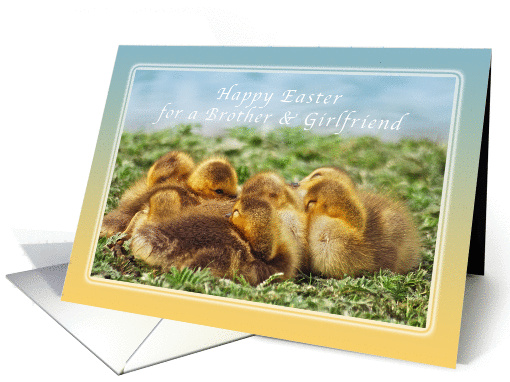 Happy Easter Wishes for a Brother & Girlfriend, Baby Geese card