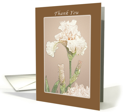 Peach Iris Thank You Card, blank inside card (1017621)