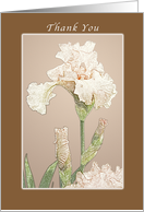 Peach Iris Thank You Card, blank inside card