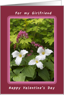 Happy Valentine’s Day, for Girlfriend, Bleeding Hearts Trillium card