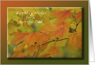 Birthday Wishes for Dad, Autumn Maple Leaves card