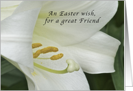 An Easter Wish for a Great Friend, Easter Lily card