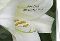 An Easter Wish for Dad, Easter Lily card