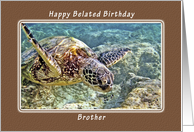Happy Belated Birthday, Brother, Green Sea Turtle card