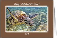 Happy Belated Birthday, Dad, Father, Green Sea Turtle card