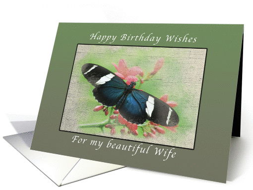 Happy Birthday Wishes, for my Beautiful Wife, Butterfly card (1023823)