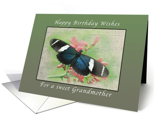 Happy Birthday Wishes, for my Grandmother, Grandma, Butterfly card