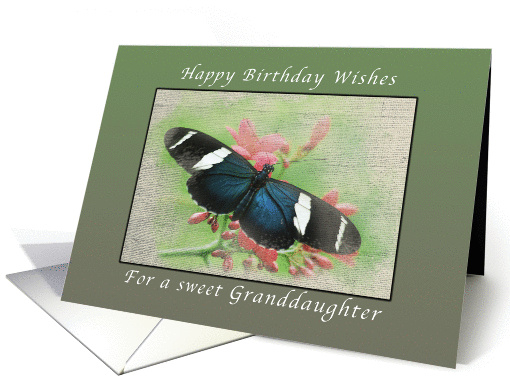 Happy Birthday Wishes, for my Granddaughter, Butterfly card (1023829)