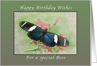 Happy Birthday Wishes, for Special Boss, Butterfly card