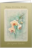 Happy Birthday Wishes, for a Great Teacher, Peach Orchids card