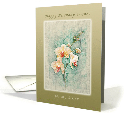 Happy Birthday Wishes,for my sister, Peach Orchids card (1024591)