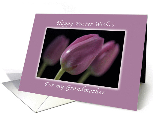 Happy Easter Wishes, for My Grandmother, Pink Tulips card (1026845)