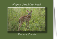 Happy Birthday for my Cousin, White Tailed Fawn, whitetail deer card