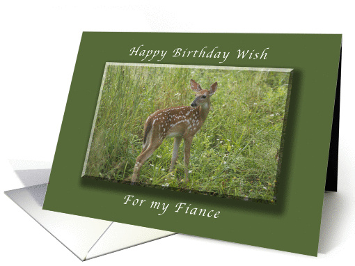Happy Birthday for my Fiance, White Tailed Fawn, whitetail deer card