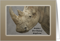 Happy Birthday Nephew, Rhinoceros card