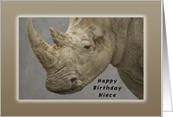 Happy Birthday Niece, Rhinoceros card