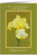 Happy Easter for a Wonderful Granddaughter and her Husban, Yellow Iris card