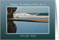 Wishes for a Happy Birthday for a Terrific Wife, Kauai, Hawaii card