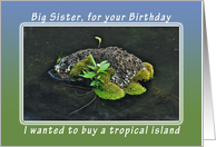 Happy Birthday Tropical Island for a Big Sister card