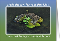 Happy Birthday Tropical Island for Little Sister card