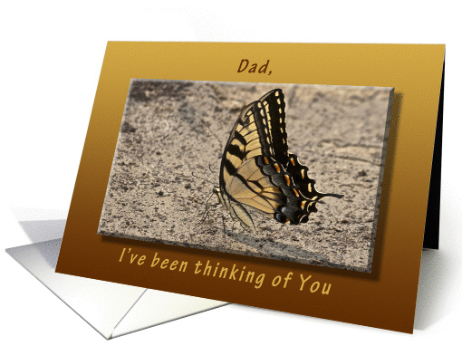 I've Been Thinking of You, Dad, Eastern Tiger Swallowtail card