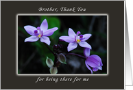 Thank You Brother for Being There For Me, Wild Purple Orchids card