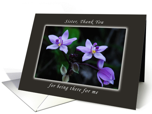 Thank You Sister for Being There For Me, Wild Purple Orchids card