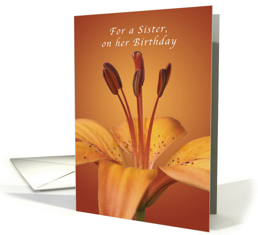For a Sister Happy Birthday, Orange daylily card (1041535)
