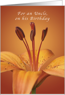For an Uncle, Happy Birthday, Orange daylily card