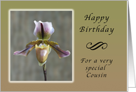 Happy Birthday for a Special Cousin, Lady Slipper Orchid card