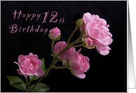 Happy 12th Birthday, Pink Roses card