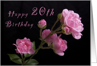 Happy 20th Birthday, Pink Roses card