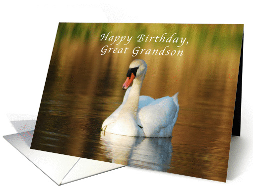 Happy Birthday, Great Grandson, Swan in Pond at Sunset card (1045043)