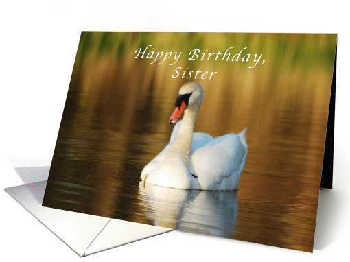 Happy Birthday, Sister, Swan in Pond at Sunset card (1045051)