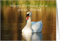 Happy Birthday, Special Friend, Swan in Pond at Sunset card