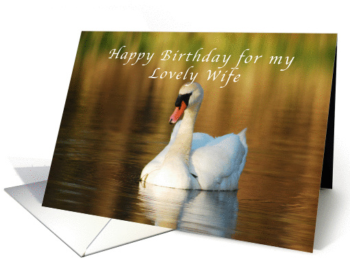 Happy Birthday, Wife, Swan in Pond at Sunset card (1045101)