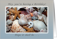 Hey, You’re Having a Birthday, Sea Shells and Starfish card