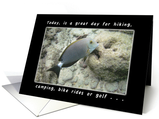 Dad, Today is a Great Day for a Birthday, fish card (1046051)