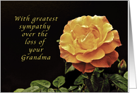 Sorry, for the Loss of Your Grandmother, yellow orange rose card