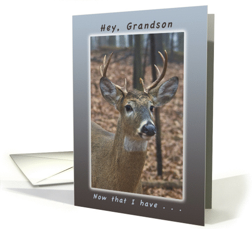 Hey, Grandson now that I have Your Attention Happy Birthday card