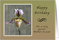 Happy Birthday for a Special Mother-in-Law, Lady Slipper Orchid card