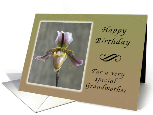 Happy Birthday for a Special Grandmother, Lady Slipper Orchid card