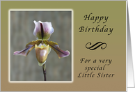 Happy Birthday for a Special Little Sister, Lady Slipper Orchid card