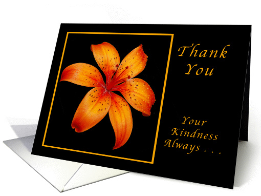 Thank You for your Kindness, Orange Daylily card (1050383)