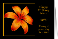Happy Birthday Niece, Today is Your Day, Orange Daylily card