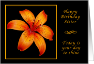 Happy Birthday Sister, Today is Your Day, Orange Daylily card